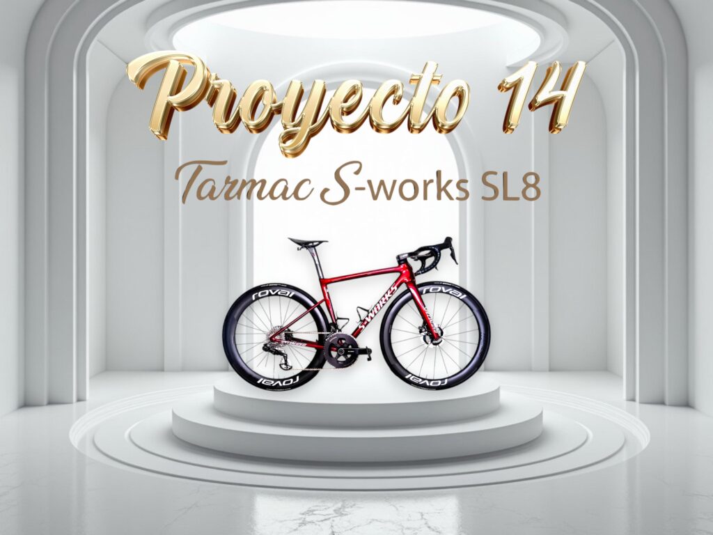 SL8 SWORKS GRANATE Y NEGRO