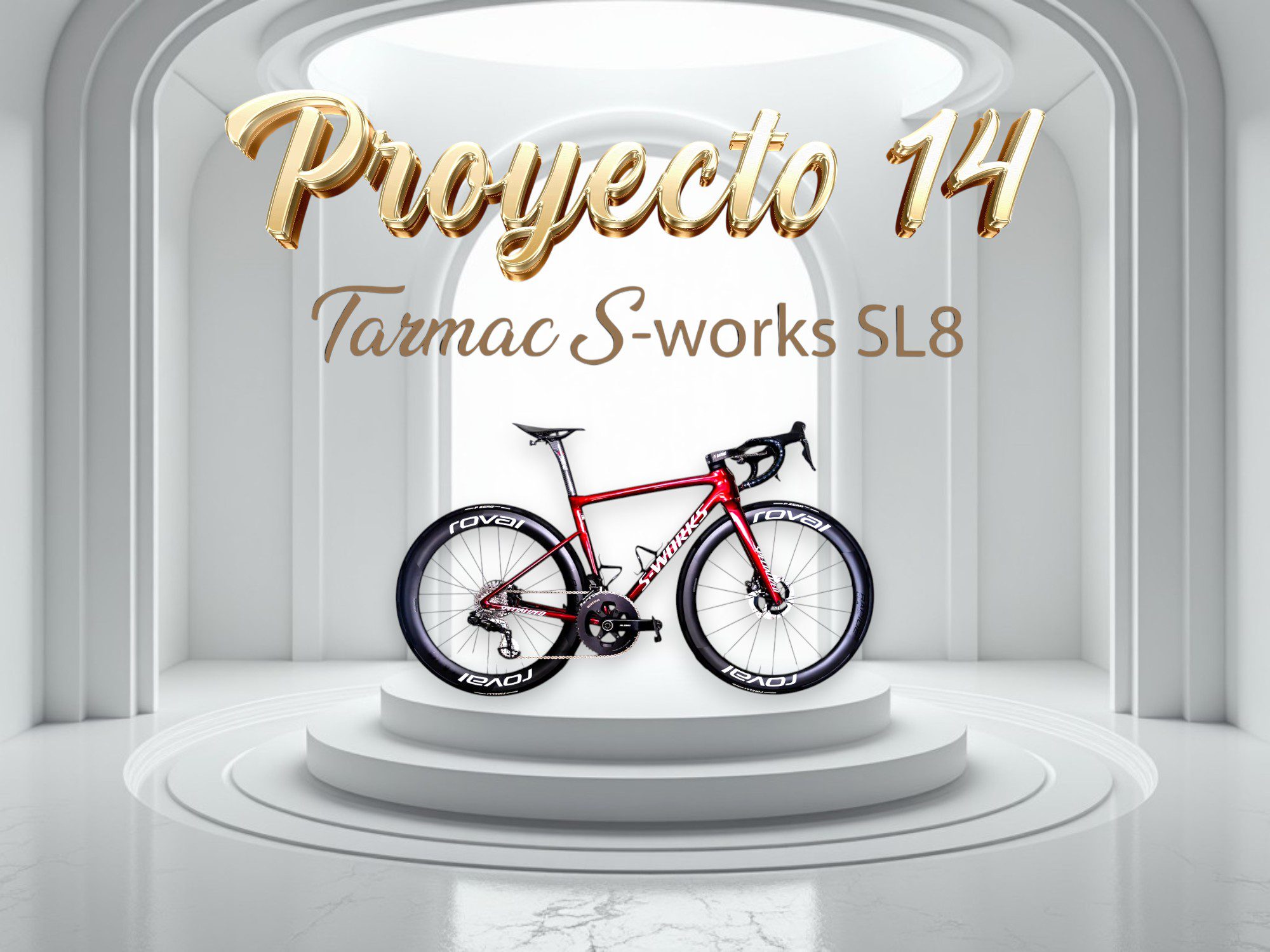 SL8 SWORKS GRANATE Y NEGRO